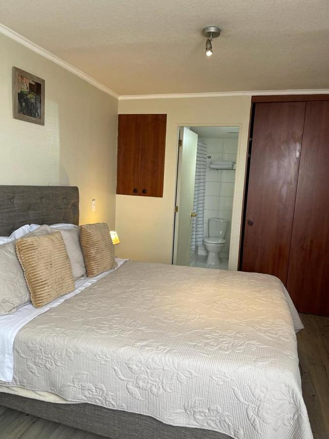 C&M Apartment Santiago de Chile Bagian luar foto